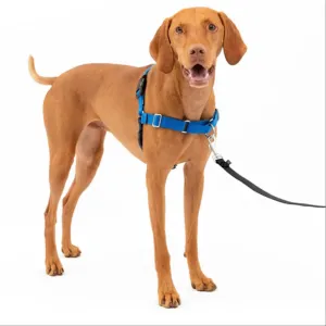 PetSafe Easy Walk Dog Harness Blue