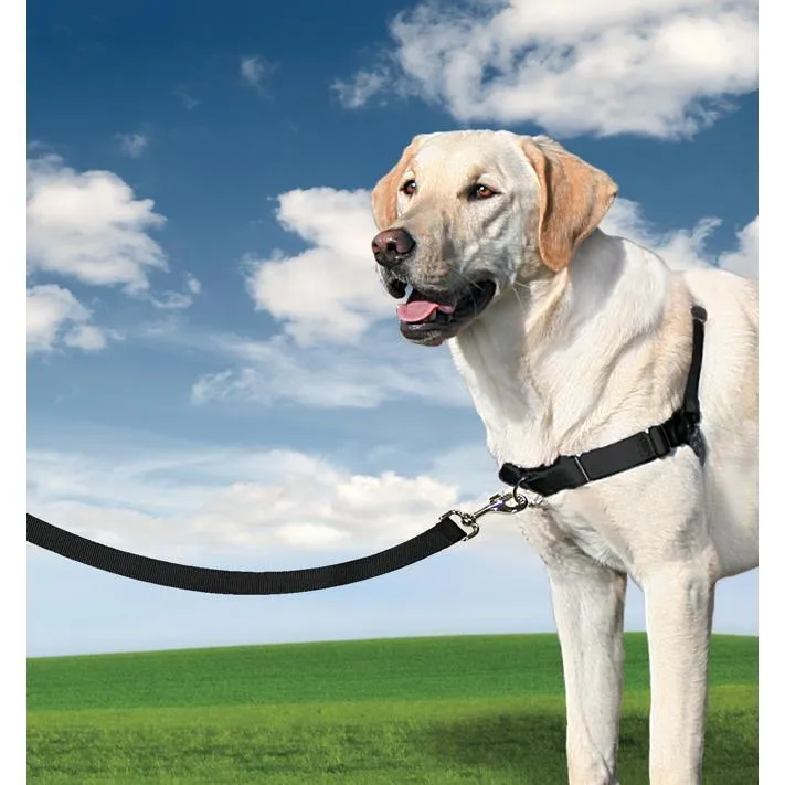 Petsafe Easy Walk Harness